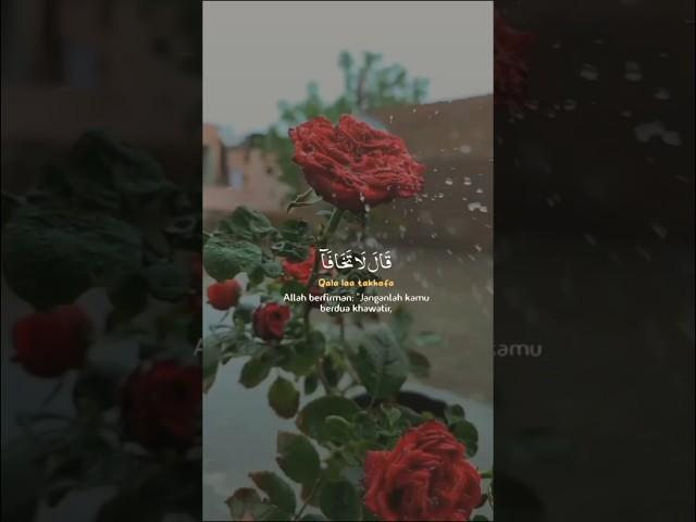 QURAN RECITATION| Beautiful Soft voice 🫀 #quranrecitation #waytojannah #beautyfulquran