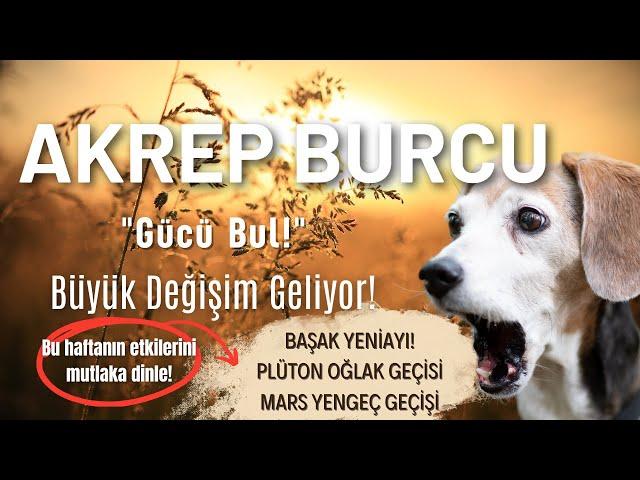 Akrep Burcu Bu Hafta: İçindeki Gücü Keşfet!