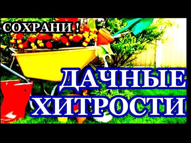 ПОЛНОЕ СОБРАНИЕ , ДАЧНЫЕ ХИТРОСТИ ДЛЯ САДОВОДА , Сохраните, чтобы не потерять!#здоровье