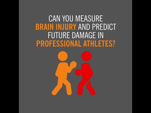 Fighter Study Brain Volume Loss