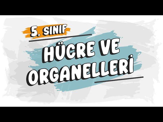 Hücre ve Organelleri | 5. Sınıf Fen Bilimleri #2025