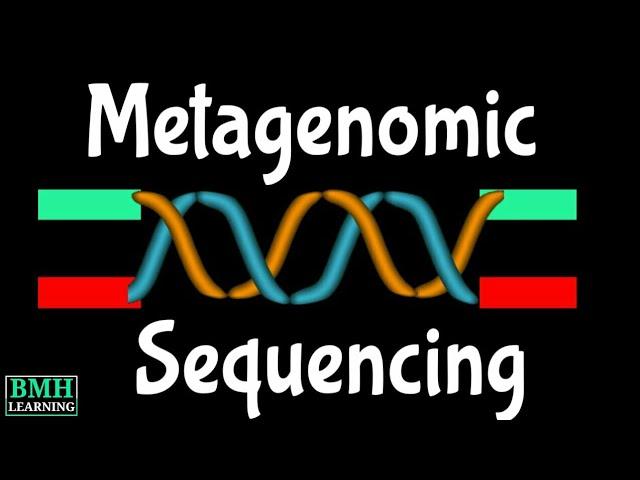 Metagenomic Sequencing | Shotgun Metagenomic Sequencing | Metagenomic NGS | mNGS |