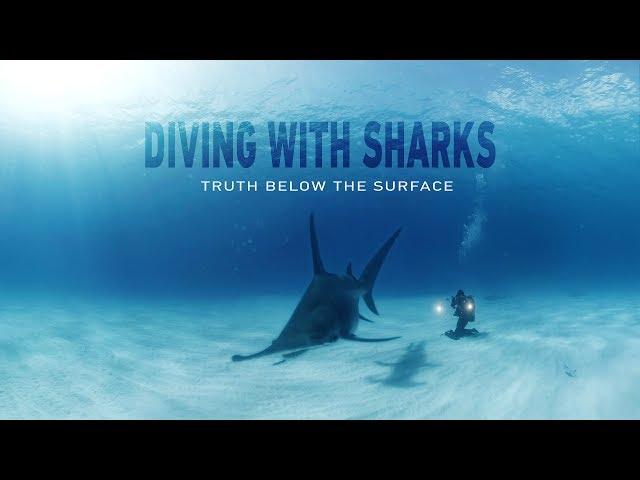 GoPro VR: Diving with Sharks - Truth Below the Surface