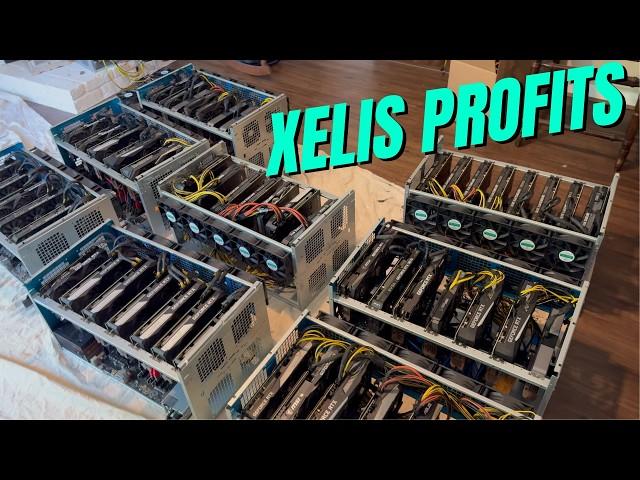 I'm Gpu Mining Xelis on 48 Gpu's....Profitable in 2024??