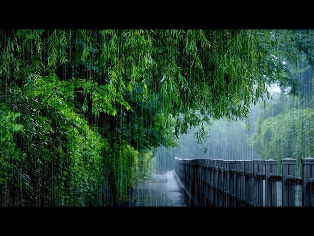 Productivity-Boosting White Noise: Raindrops Trickling Down Willow Branches