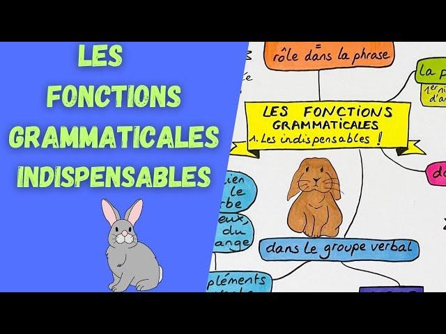 LES 7 FONCTIONS GRAMMATICALES indispensables !