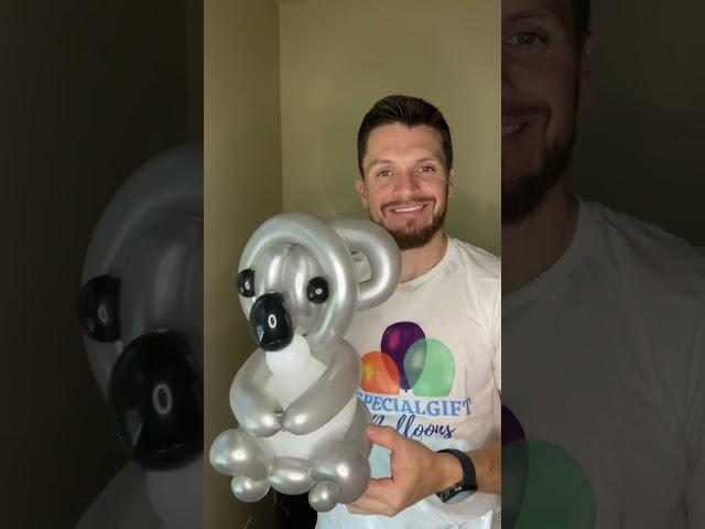 Koala  Balloons  #animals #Koala #qualatex #washingtonstate #teacher #safari #brazil #argentina