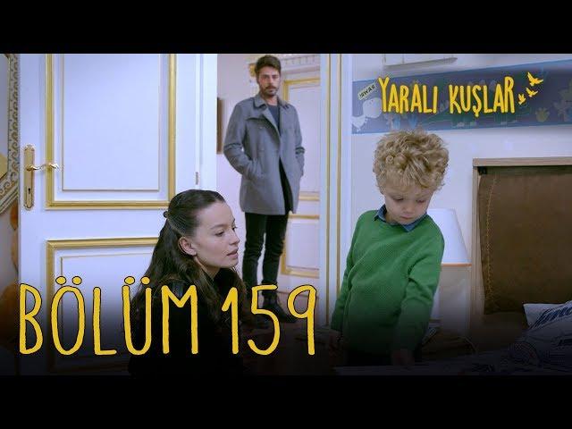 Yaralı Kuşlar 159. Bölüm