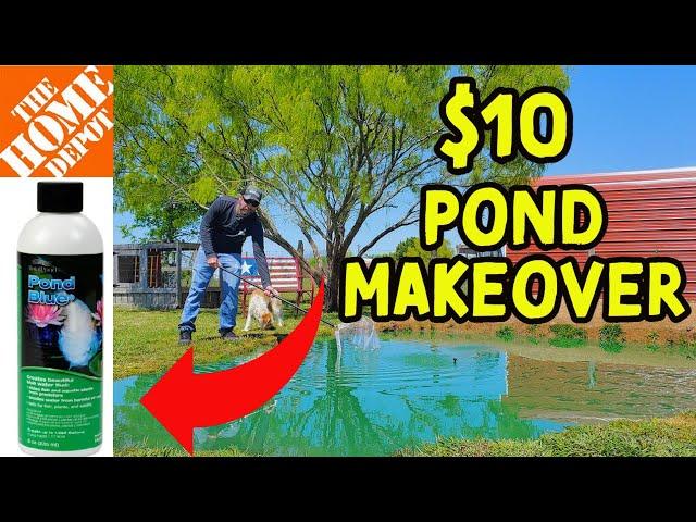 Home Depot Pond Makeover For Less Than $10