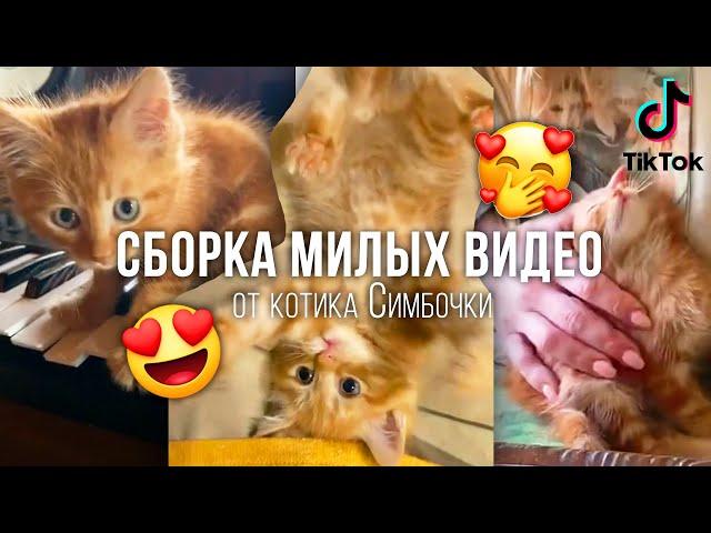 СБОРКА МИЛЫХ ДЕТСКИХ ВИДЕО ОТ СИМБОЧКИ :3 (TIKTOK)