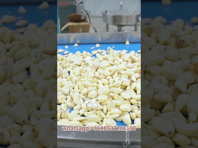 Garlic Peeling And Packaging Processing Line