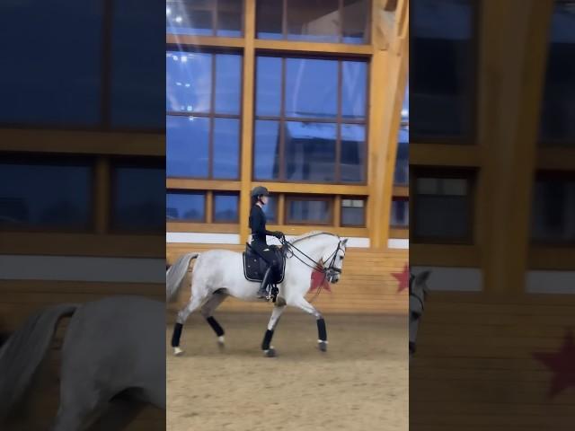 Трудовые будни #horse #horselover #horseriding #horsedance #horseriding #horserider #dressage