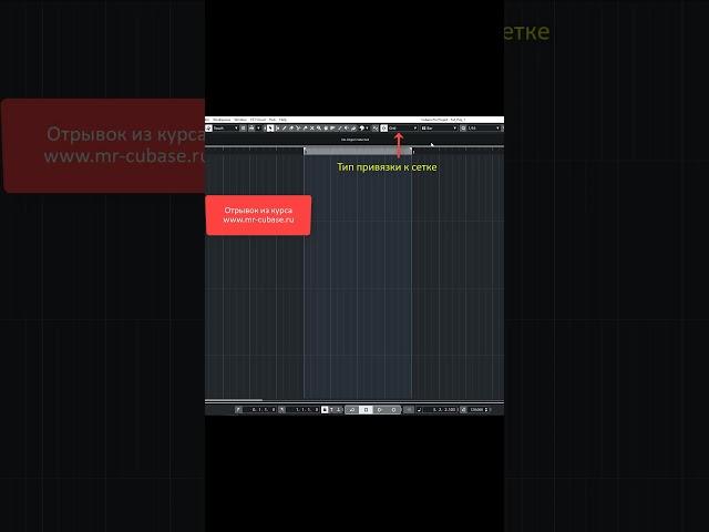Работа в Cubase 1 #shorts