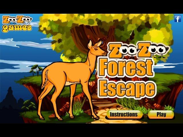 Forest Escape walkthrough Zoo Zoo Games.