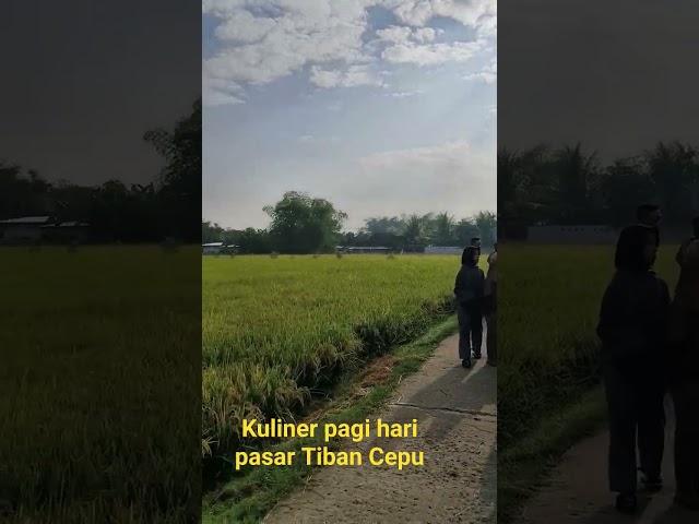 Kuliner pagi hari Pasar Tiban Cepu view sawah#cepu