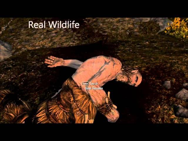 Skyrim Mod: Real Wildlife