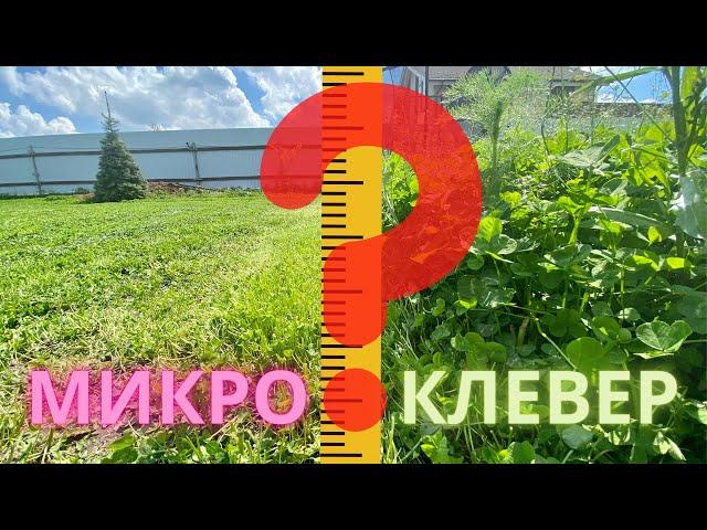 МИКРОКЛЕВЕР | ВСЕ ЭТАПЫ | Не покупай, пока не посмотришь!