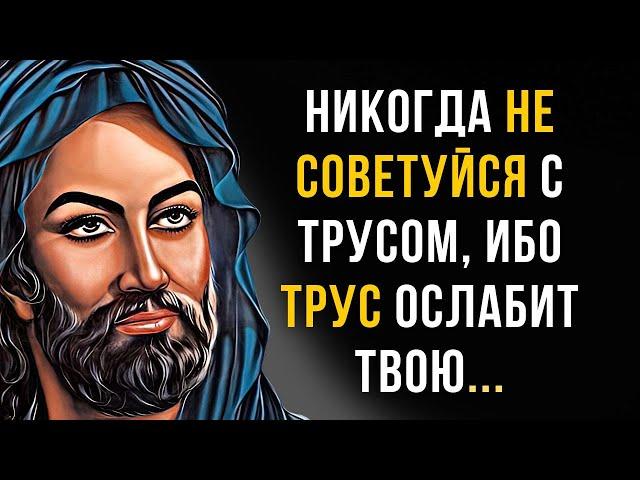 Просветляющие Цитаты Али ибн Абу Талиба  Жаль мне не сказали РАНЬШЕ!