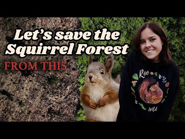 THE SQUIRRELS NEED YOUR HELP.