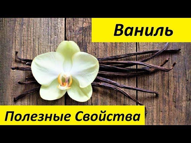 Ваниль. Полезные Свойства и Вред Ванили