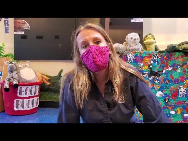 Zoo School with Sheldon, the nine-banded armadillo