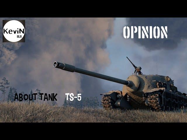 TS-5 - How to tank? | Opinion, briefly - farm, DPM, disguise, armor ...