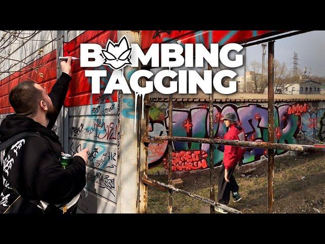 Graffiti Bombing & Tagging | Graffiti in line