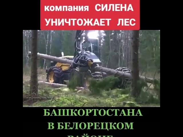 Они унежтажают лес