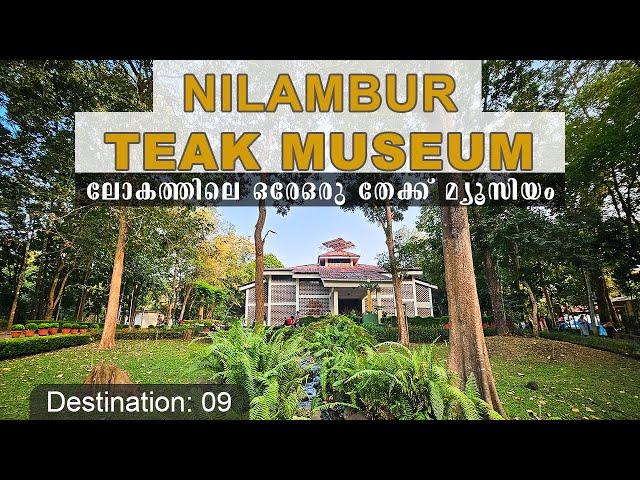 Nilambur Teak Museum | The One and Only Teak Museum in the World ! | Rashid Edayur