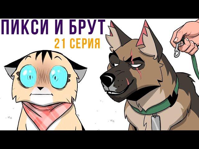 Пикси и Брут. 21 серия. Комиксы | Мемозг 1084