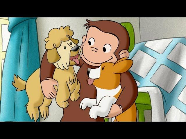 Curious George  1 Hour Compilation  HD  Cartoons For Children