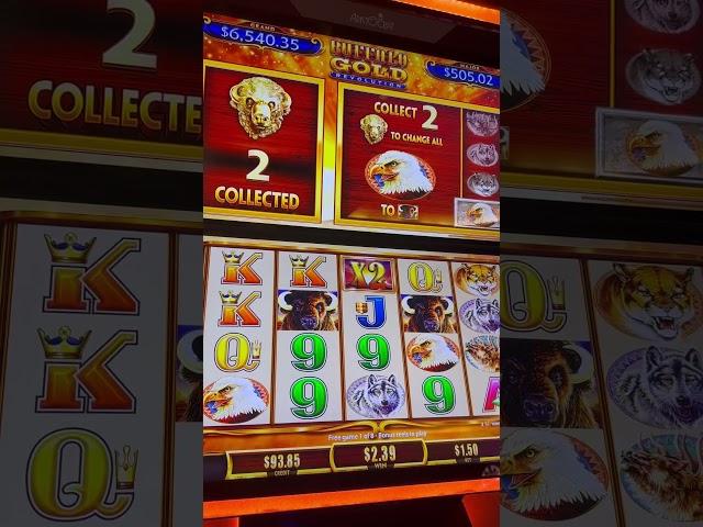 #casino #casinowins #slot #buffaloslot #casinogames #casinoluck