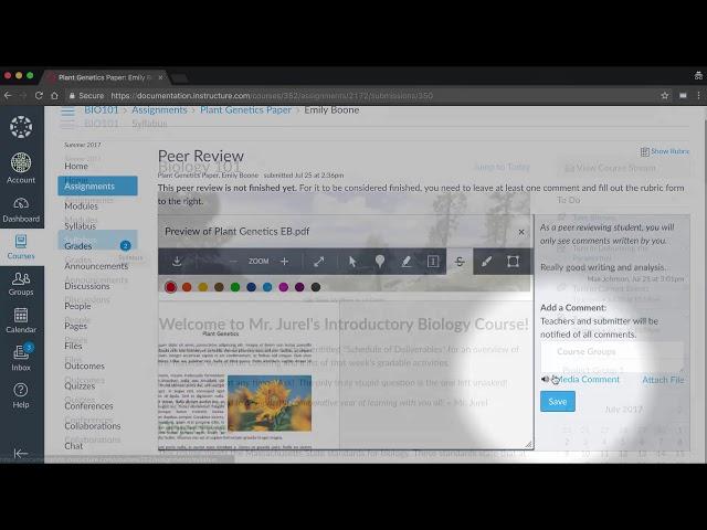 Peer Reviews   Canvas Tutorial Video Series