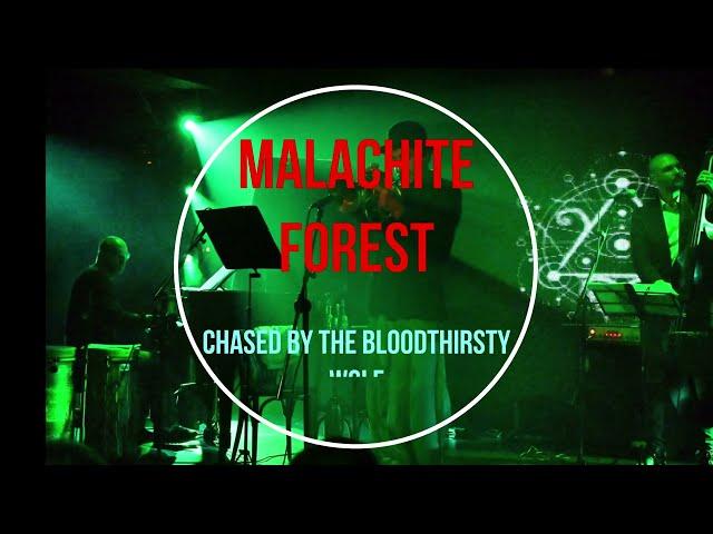 Chased By The Bloodthirsty Wolf by Martin Ivanov