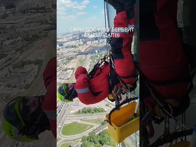 26 мая 2025 г.