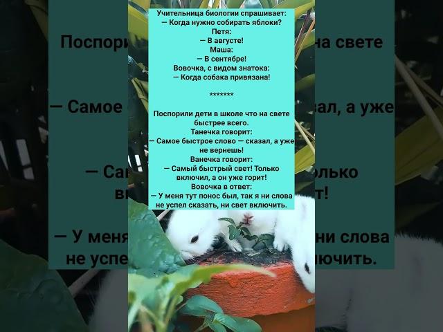 СТАРЫЙ СМЕШНОЙ АНЕКДОТ ПРО ВОВОЧКУ #анекдоты #Юмор #История #Жизнь #Анекдот #Прикол #США