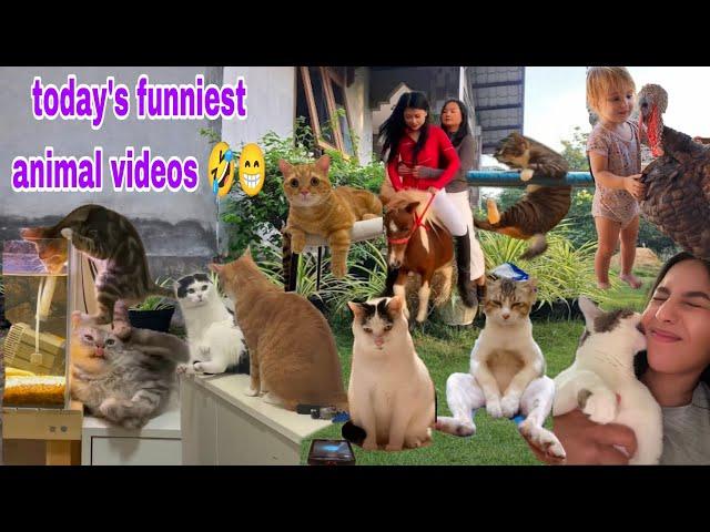 Funny Animal Videos  Latest Funniest Pets and Humans 2024