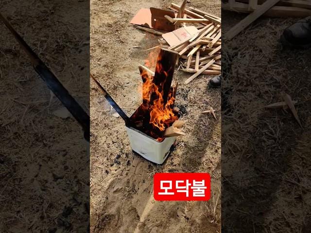 모닥불이 최고지!!     #모닥불  #추위  #불 #깡통난로 #혼불 #쏠로는춥다 #뉴욕으로가자  #추워도고고씽