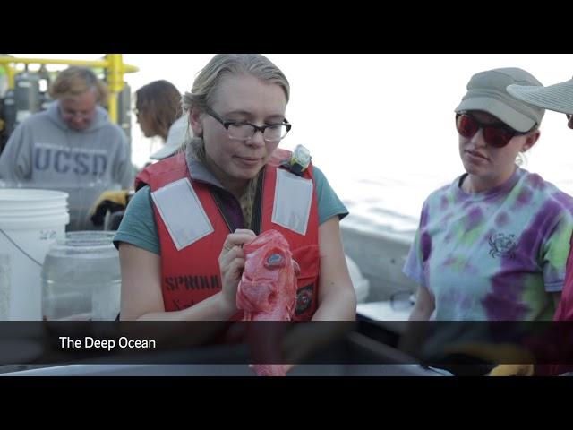 Scripps Oceanography @ COP23