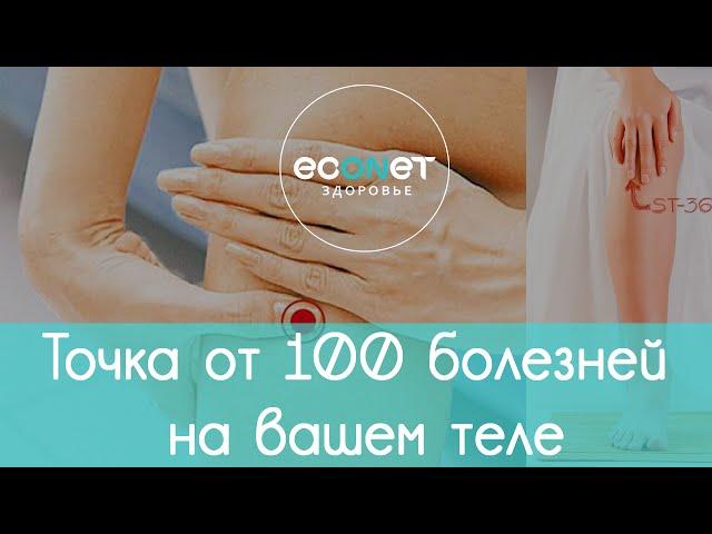 ТОЧКА ДОЛГОЛЕТИЯ: точка от 100 БОЛЕЗНЕЙ на вашем теле | econet. ru