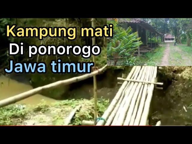 KAMPUNG MATI DI PONOROGO YANG DI TINGGALKAN WARGANYA