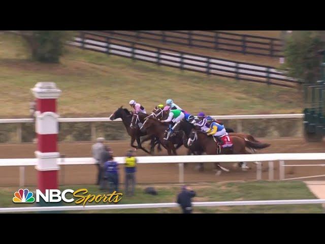 Breeders' Cup 2022: Sprint (FULL RACE) | NBC Sports