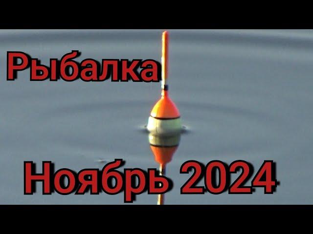 Рыбалка на поплавок 24 ноября 2024 г.на лесной речке!Я её нашёл.Эта рыба гнет удилище в дугу!