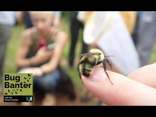 Episode 31: Buzzing Together: The Bumble Bee Atlas and the Power of Community Science