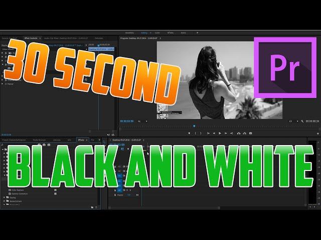 How to make Clips / Videos Black and White in Premiere Pro CC