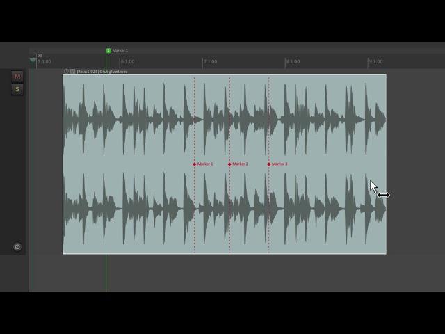Item or Take Markers in REAPER