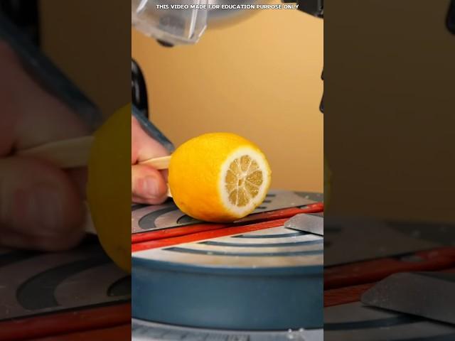 Lemon Tricks That Will Make Your Life Easier