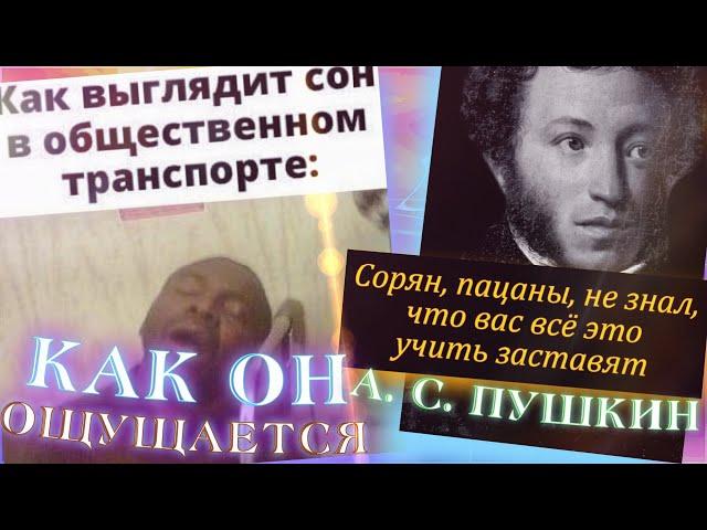 МЕМOFF / СЛОВО НАЧИНАЮЩИЕСЯ НА «П» ЗАКАНЧИВАЮЩИЕСЯ НА «РНО»? / НАСТОЯЩЕЕ ИМЯ ПЧЕЛЁНКА? (СТЫДOFF)