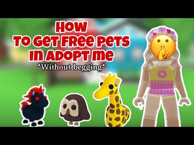 How to get free pets in adopt me (without scamming or begging) ️