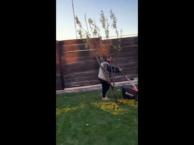 Обрезка сада #garden #дача #26rus #stavropol